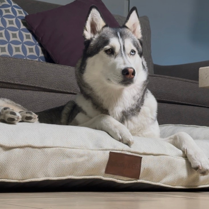 Camita Ergonómica Premium -  Woofy & Co®