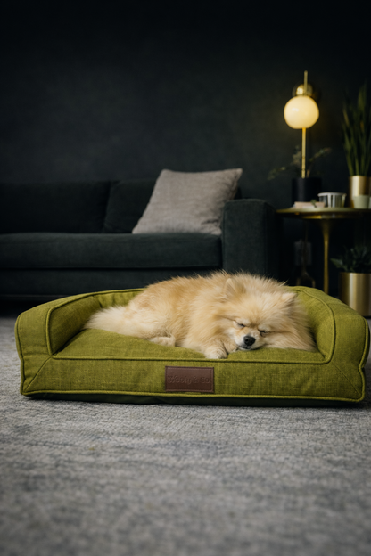 Verde - En sala con perro