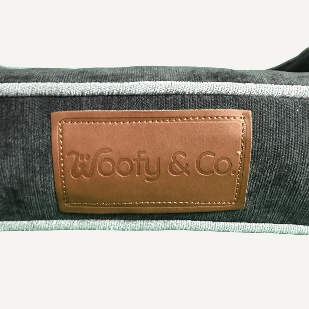 Funda de Repuesto Woofy & Co. – Negro (Modelo Janis)