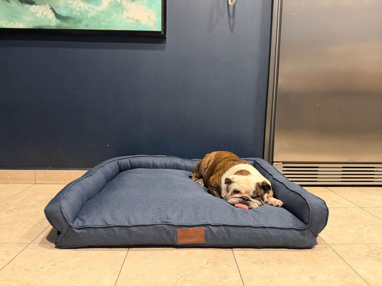 Cama ergonómica premium Woofy & Co® para perros, con superficie acolchada y diseño cómodo para el descanso del animal.
